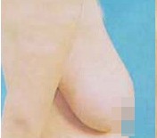 鷿´C(du)Ƭ