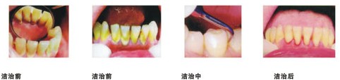 http://ask.8989.cn/zx/zx.php?u=liuhongyan&p=www.magicdolla.com/qdzxmr/14041.html